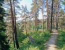 img 20230610