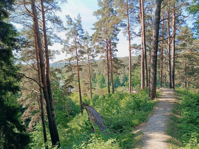 img 20230610 img 20230610