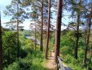 img 20230610
