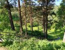 img 20230610