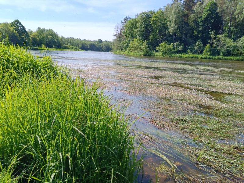 img 20230610 img 20230610