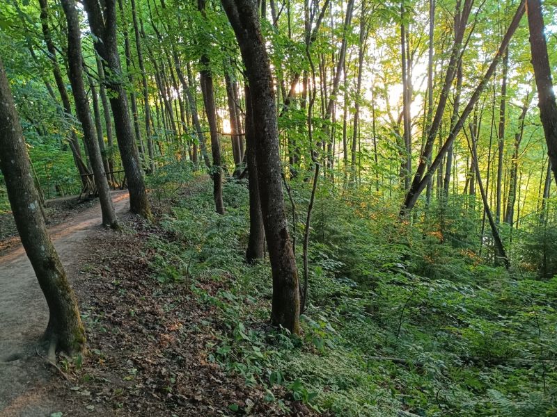 img 20230614 img 20230614