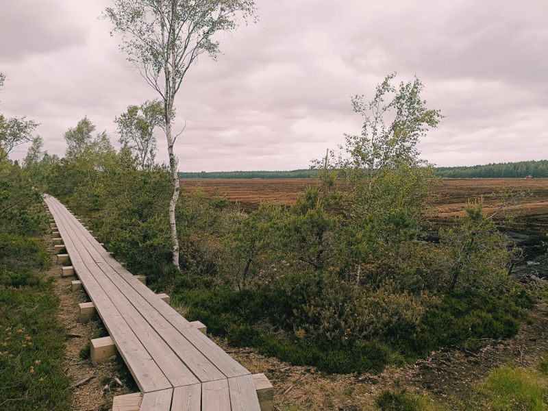 img 20250621 img 20250621