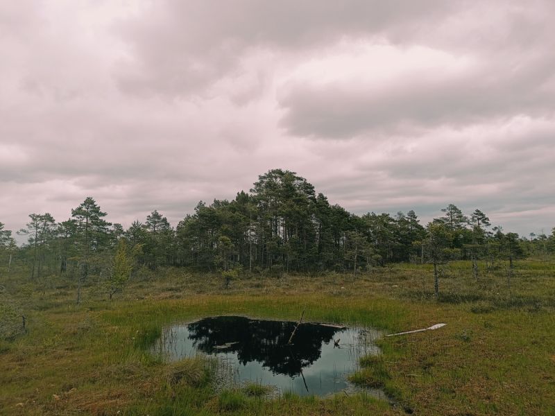 img 20250621 img 20250621