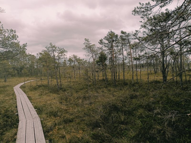 img 20250621 img 20250621