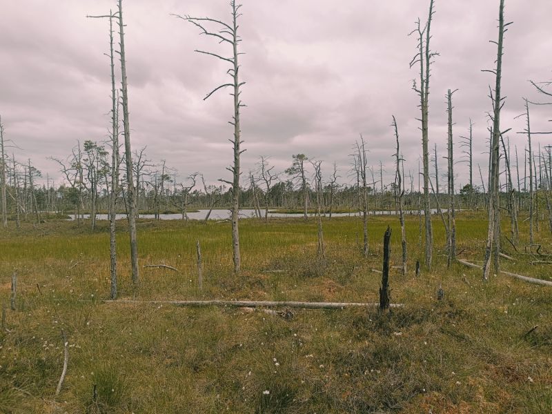 img 20250621 img 20250621