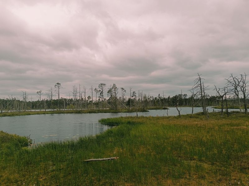 img 20250621 img 20250621