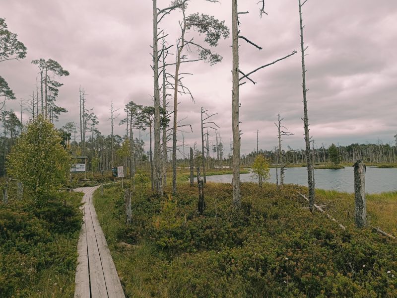 img 20250621 img 20250621