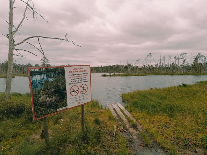 img 20250621 img 20250621