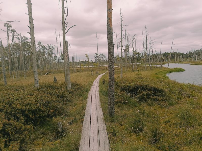 img 20250621 img 20250621