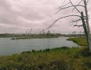 img 20250621 img 20250621