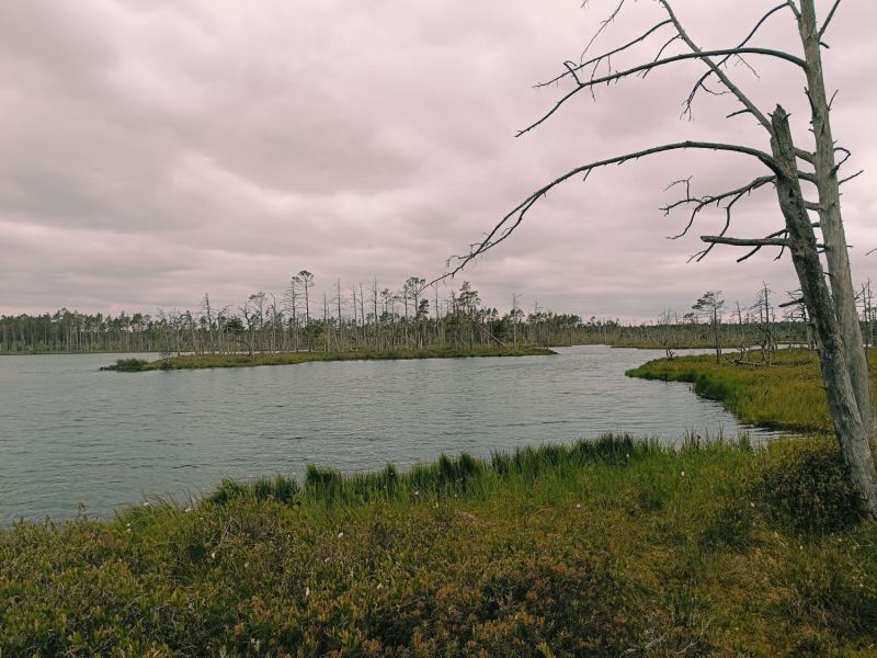 img 20250621 img 20250621