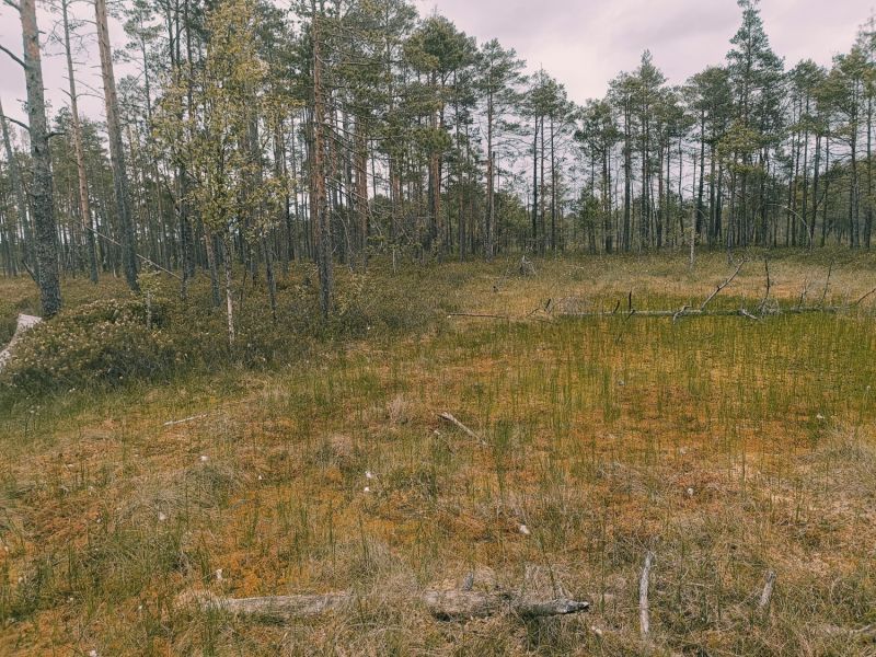 img 20250621 img 20250621