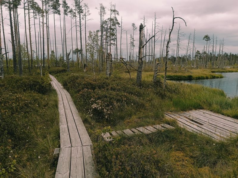 img 20250621 img 20250621