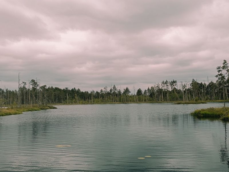 img 20250621 img 20250621