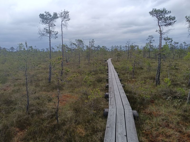 img 20250621 img 20250621