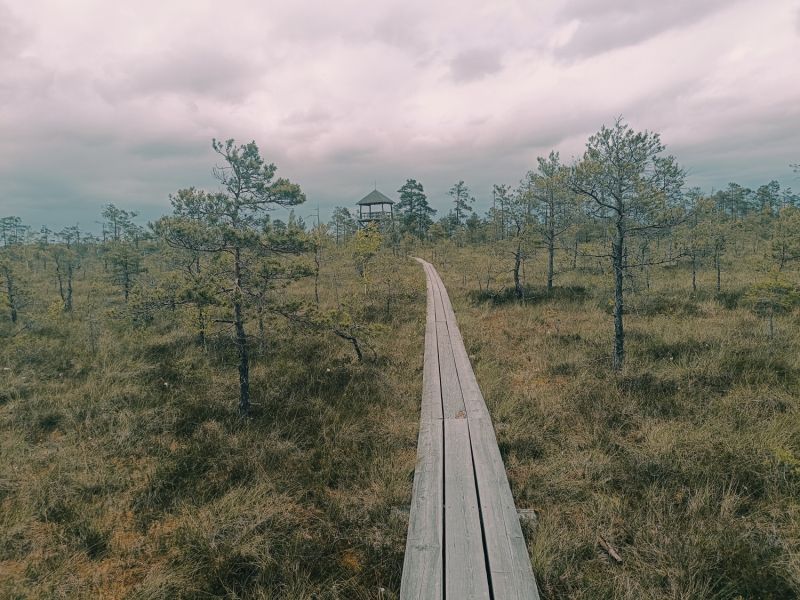 img 20250621 img 20250621