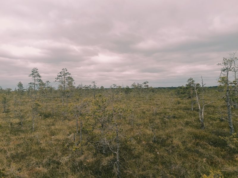 img 20250621 img 20250621