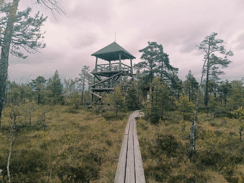 img 20250621 img 20250621