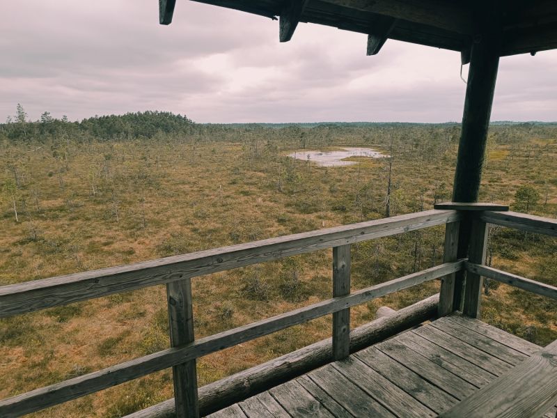 img 20250621 img 20250621