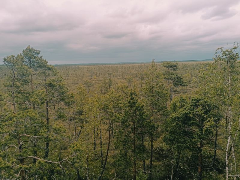 img 20250621 img 20250621