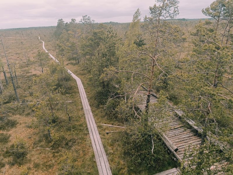 img 20250621 img 20250621