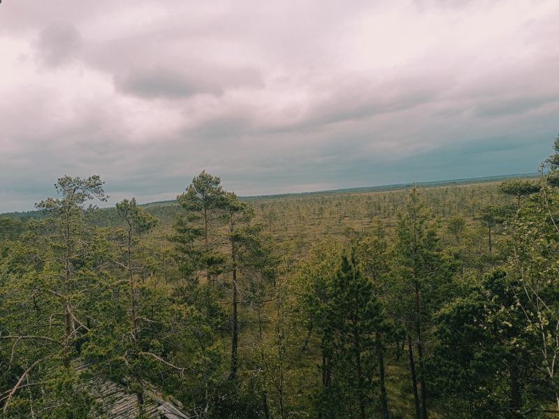 img 20250621 img 20250621