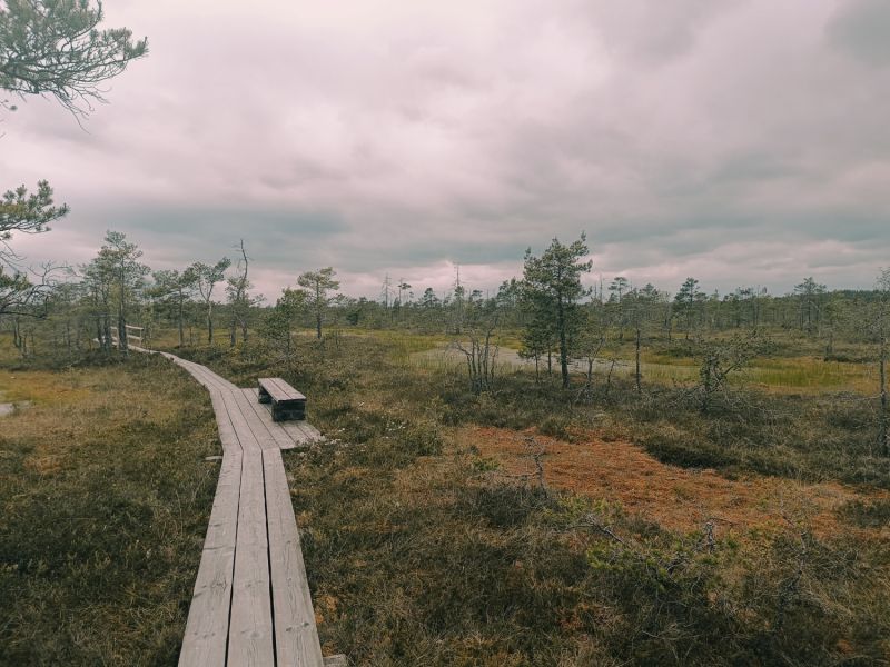 img 20250621 img 20250621