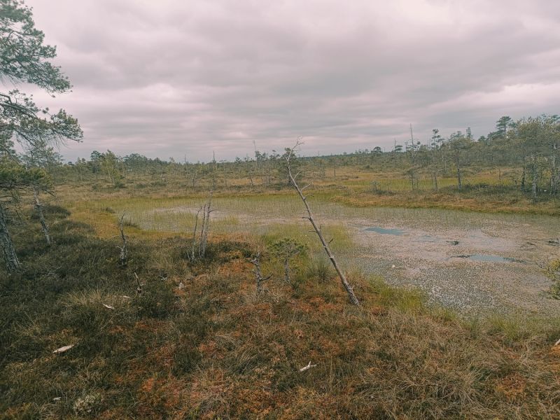 img 20250621 img 20250621