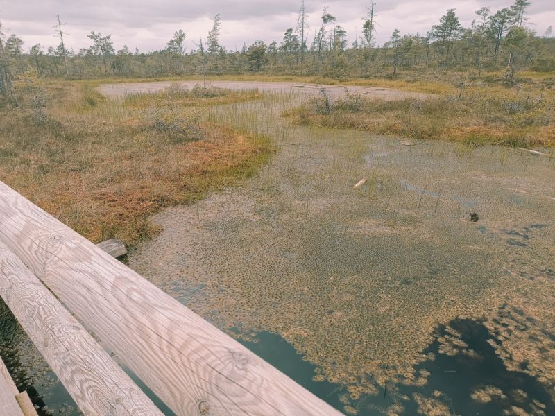 img 20250621 img 20250621