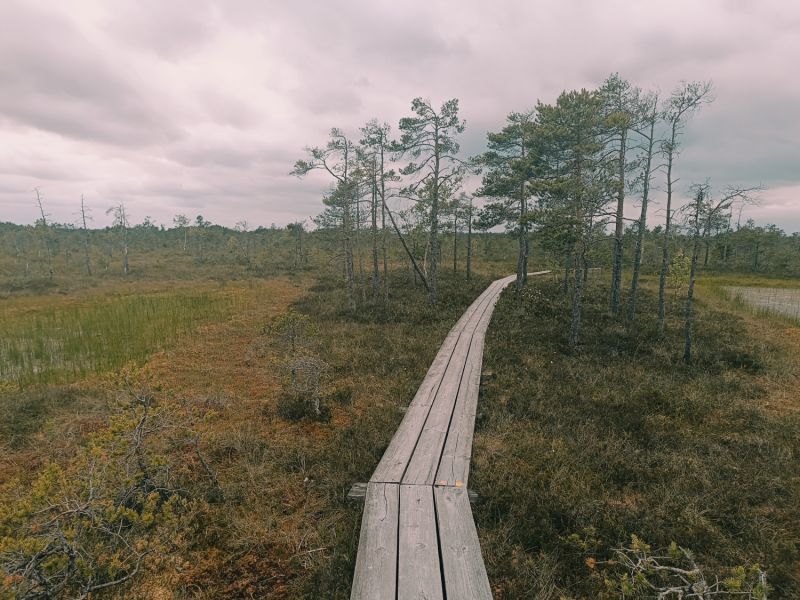 img 20250621 img 20250621