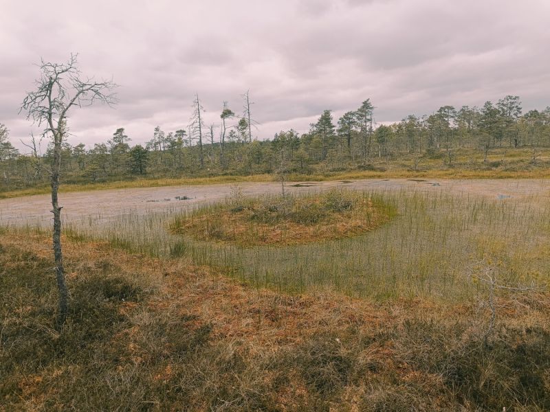 img 20250621 img 20250621