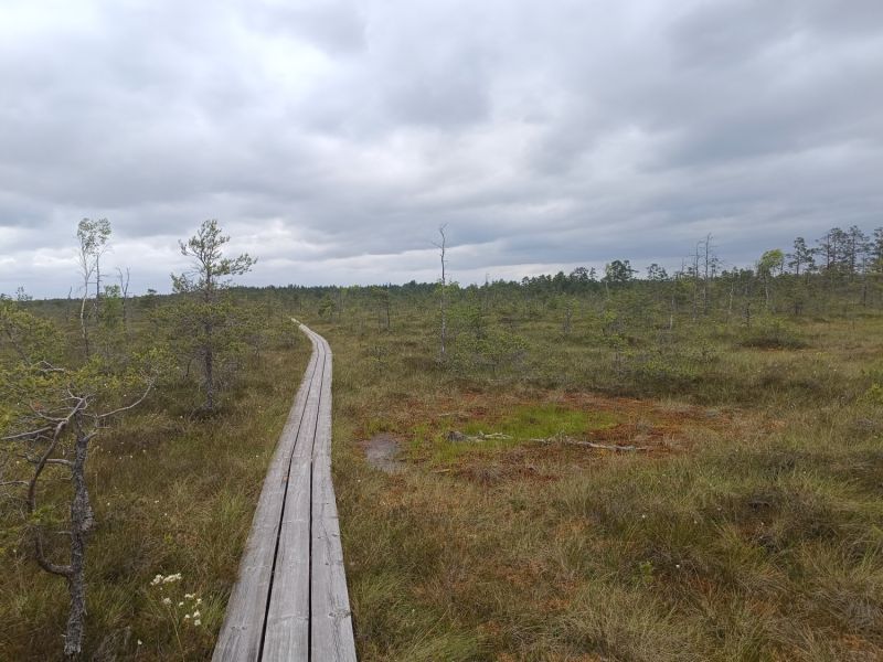 img 20250621 img 20250621