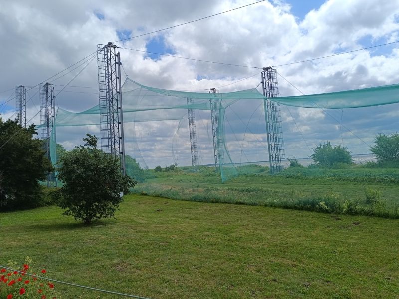 img 20250712 img 20250712