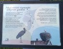img 20250712