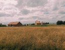 img 20250712