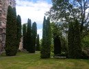img 2026051644456