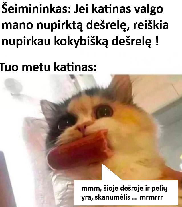 katinas valgo dešrelę