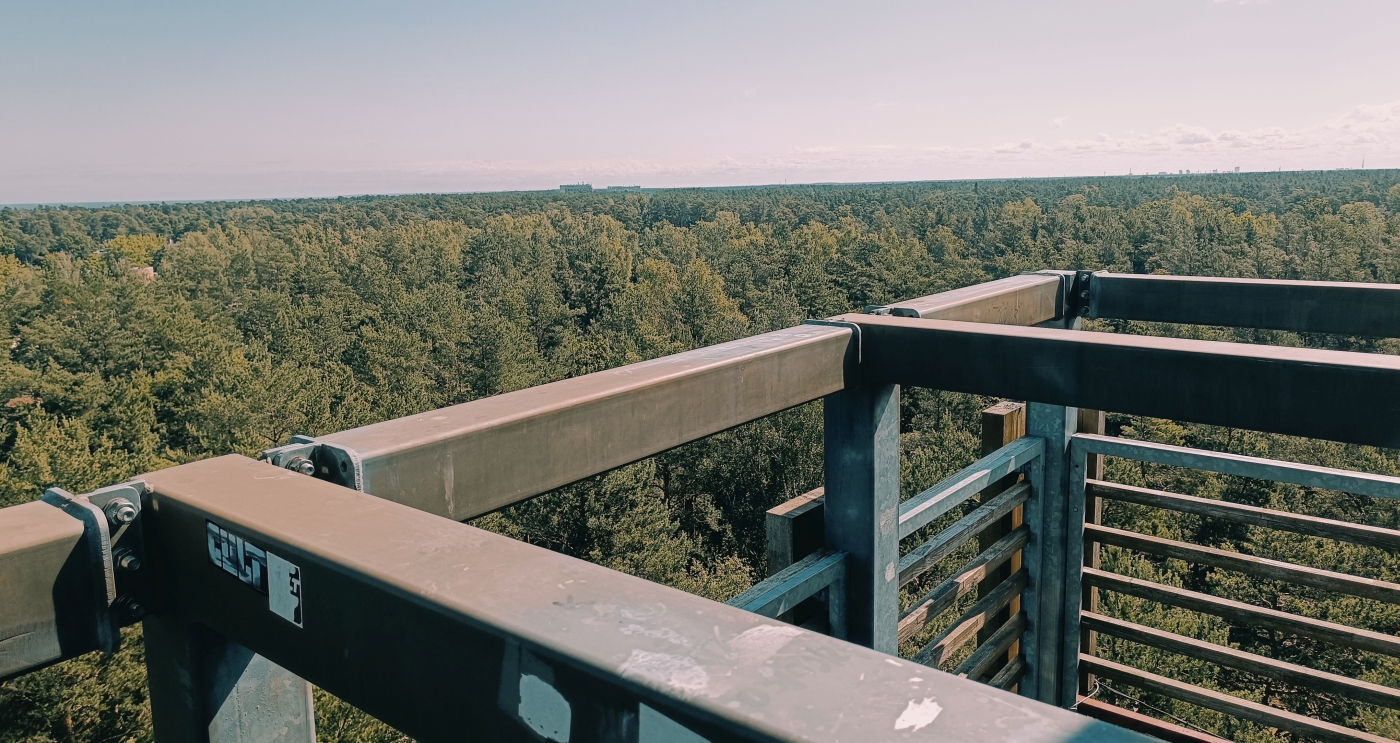 Dzintari miško parko apžvalgos bokštas