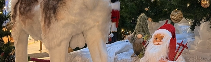 elnio kiausai is arti