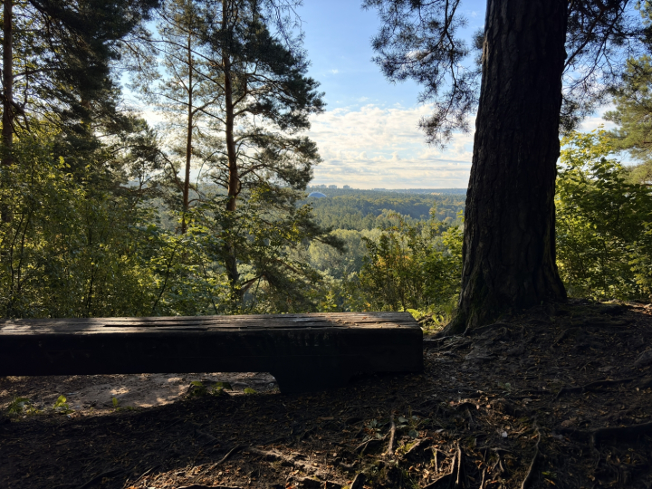 Suoliukas karoliniškių parke vilniuje 1