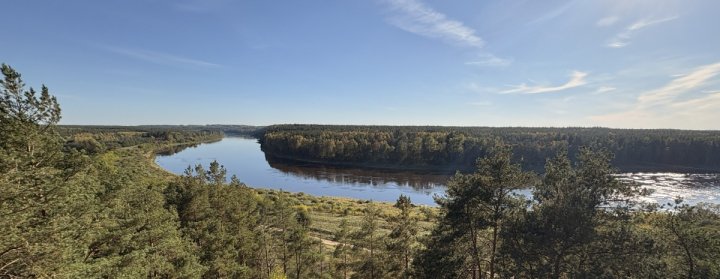 Vasargelisku skatu tornis