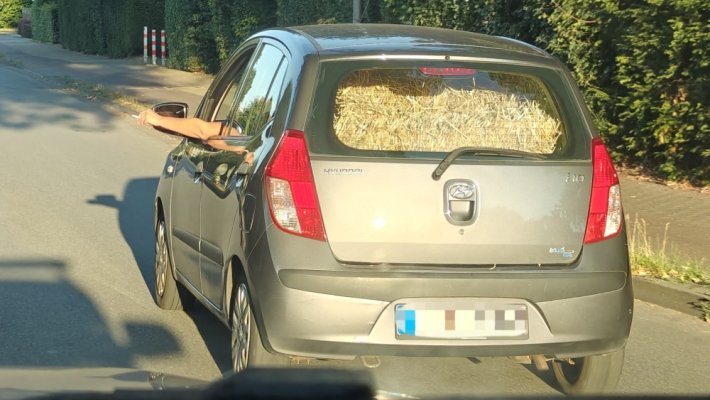 automobilis sienui vezioti