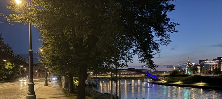 naktinis vilnius