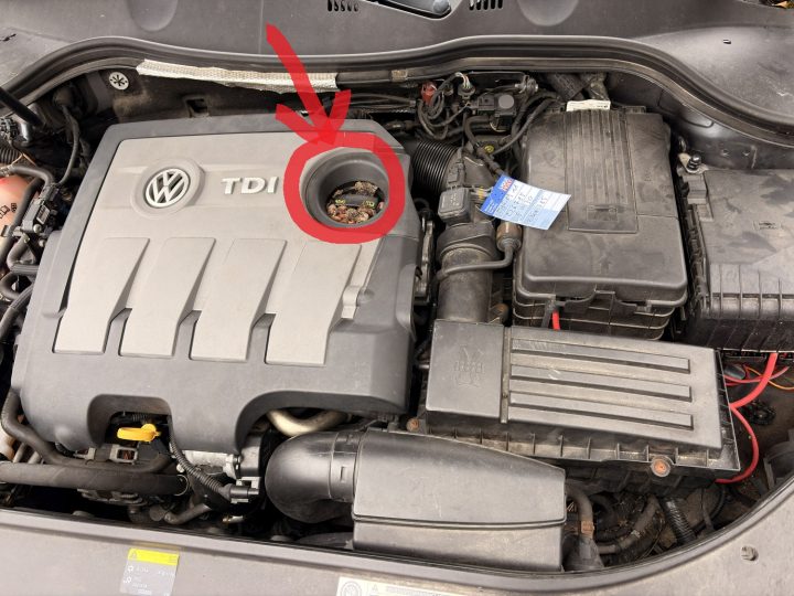 peliu lizdas automobilyje