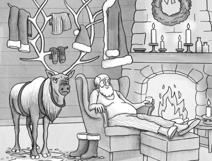 senis saltis ilsisi po kaledu darbu